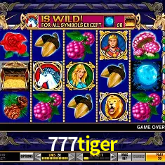 777tiger Rio de Janeiro - Bonus Terms